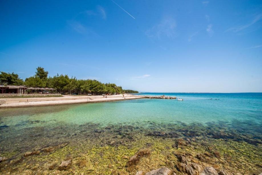Apartman Bozica Vir Exteriör bild